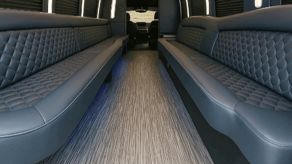 scottsdale 28 passenger party bus rental
